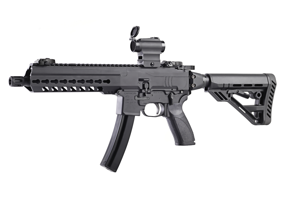 Egypt Developing Small Arms Partnership with the United Arab Emirates